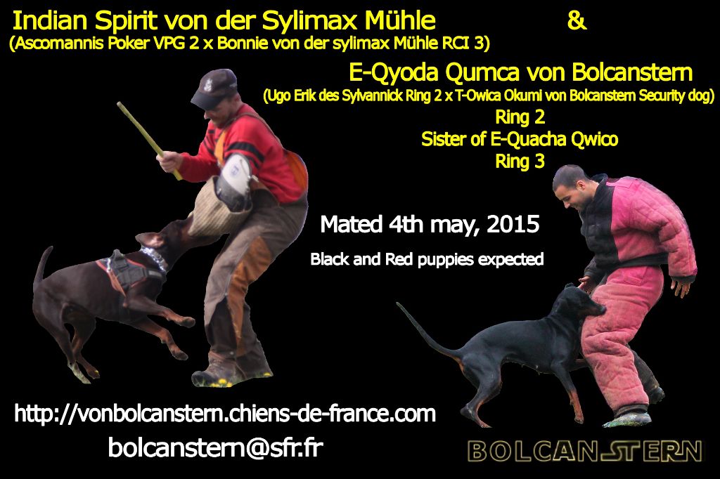 Von Bolcanstern - Saillie du 4 mai 2015